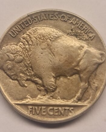 USA 5 Cents – Buffalo Nickel 1913, Type 2