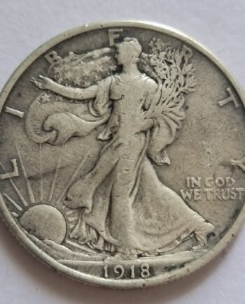 1918-D Walking Liberty Half Dollar | coinnazal.com